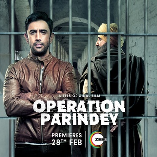 Operation Parindey 2020 DVD Rip full movie download